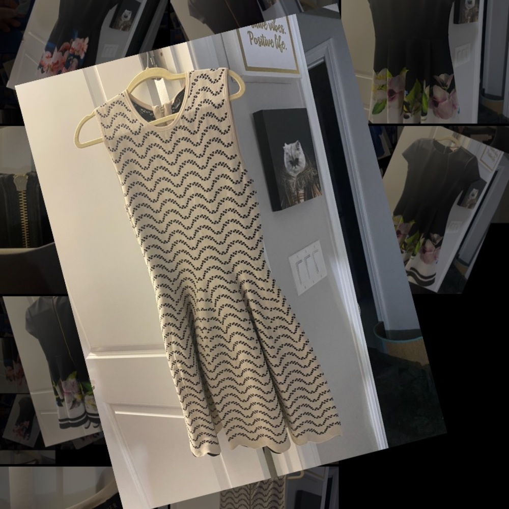 Beautiful Ted Baker thick cotton dress! Size 3 (8)